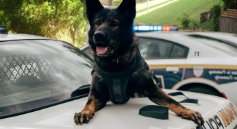 Cane poliziotto malato di cancro riceve l'ultimo saluto dalla sua squadra: il video è commovente