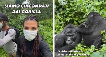 Trekking con i gorilla, esperienza nella foresta davvero surreale: puoi vivere una giornata immerso nella natura