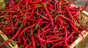 Cibo piccante, i benefici sottovalutati per il cuore: perché (e come) dovresti introdurlo nella dieta